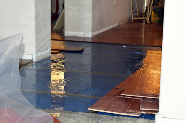Professional Basement Flood Cleanup technician working in Sarah, MS